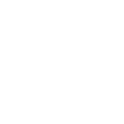 Lotus Flower Icon